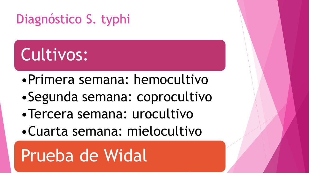 examen coprocultivo para que sirve